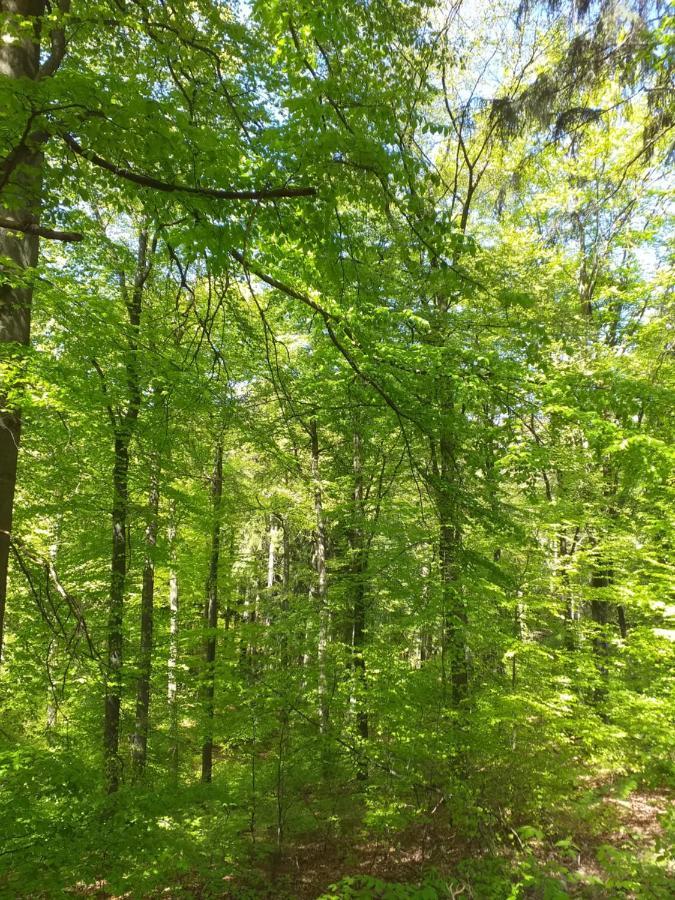 Eifelverweiler Weiler  Экстерьер фото