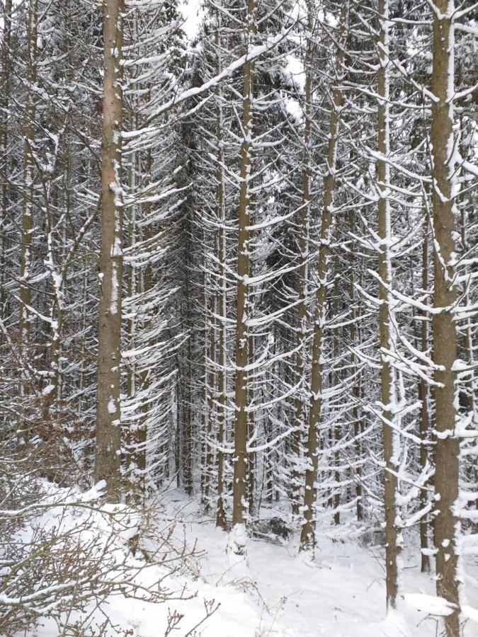Eifelverweiler Weiler  Экстерьер фото