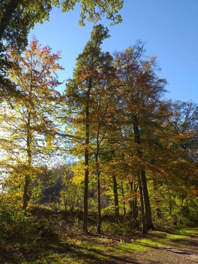 Eifelverweiler Weiler  Экстерьер фото